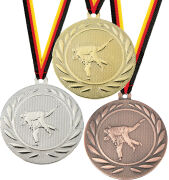 Judo Medaille Leo Minor